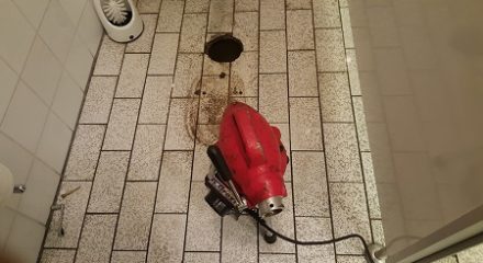 Reinigung eines Toilettenablaufs